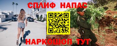 МДПВ Гагарин