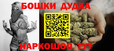 МДПВ Гагарин