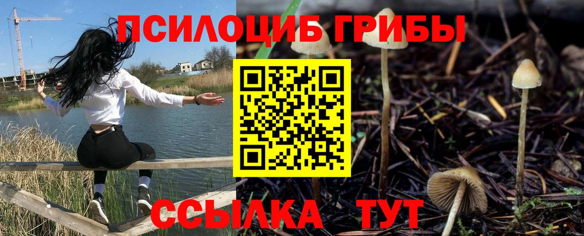 Ефремов  Галлюциногенные грибы Magic Shrooms  Галлюциногенные грибы GOLDEN TEACHER  Вход с VPN 